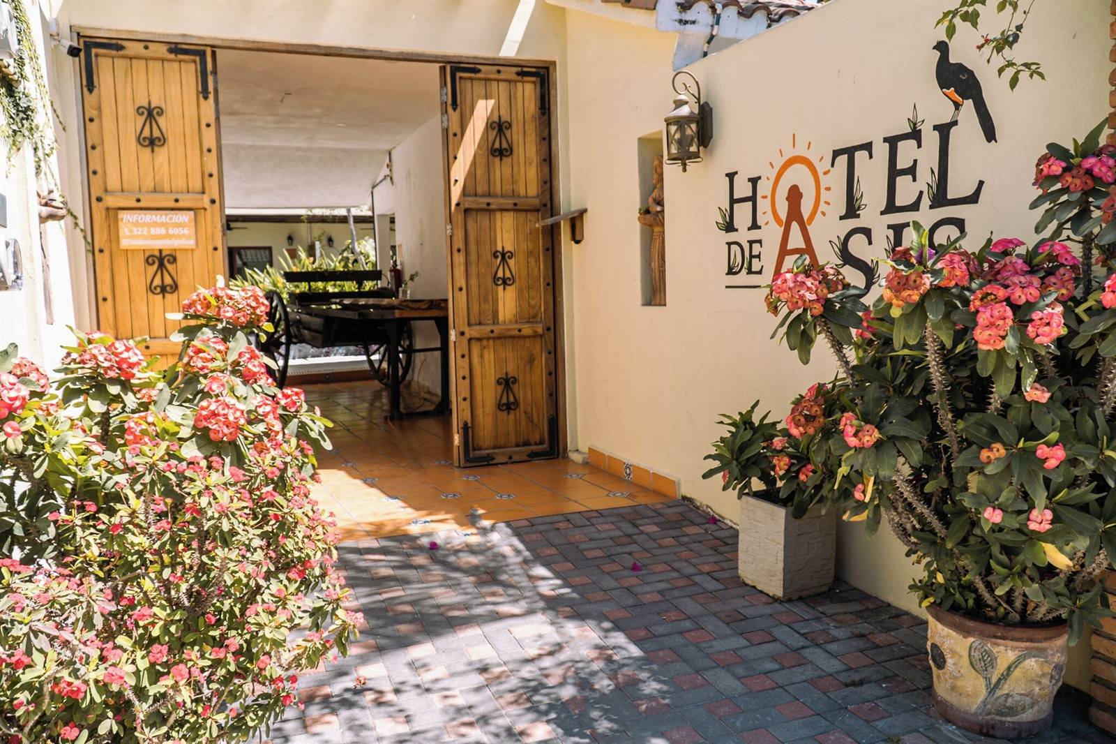Hotel de Asis: the entrance on Calle México, with the painted hotel sign and flowering plants