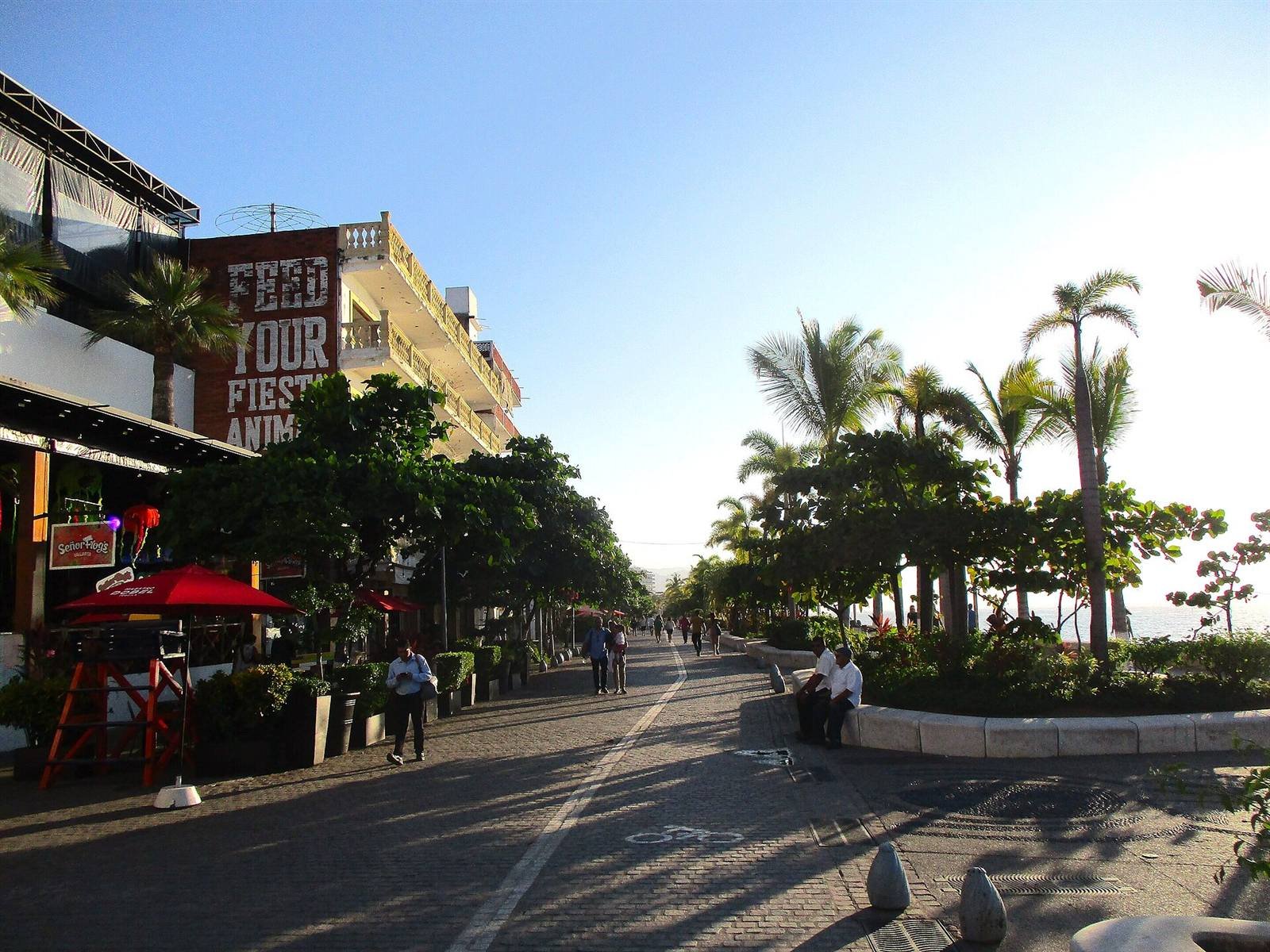 Puerto Vallarta · 36.9 km